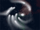 Neuron