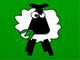Sheep Cull