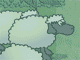 Sheep Reaction