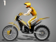 Stunt Dirt Bike