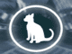Time4Cat