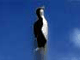 Part 03: Seal Bounce