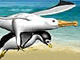 Part 04: Albatros Overload